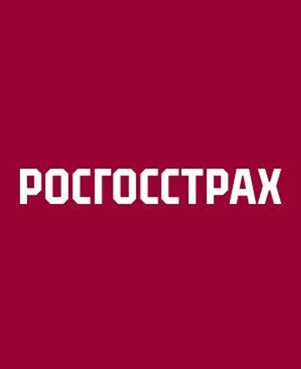 b9ee0cbc-2189-409e-af72-2f73a6c25d6a-росгосстрах.jpg